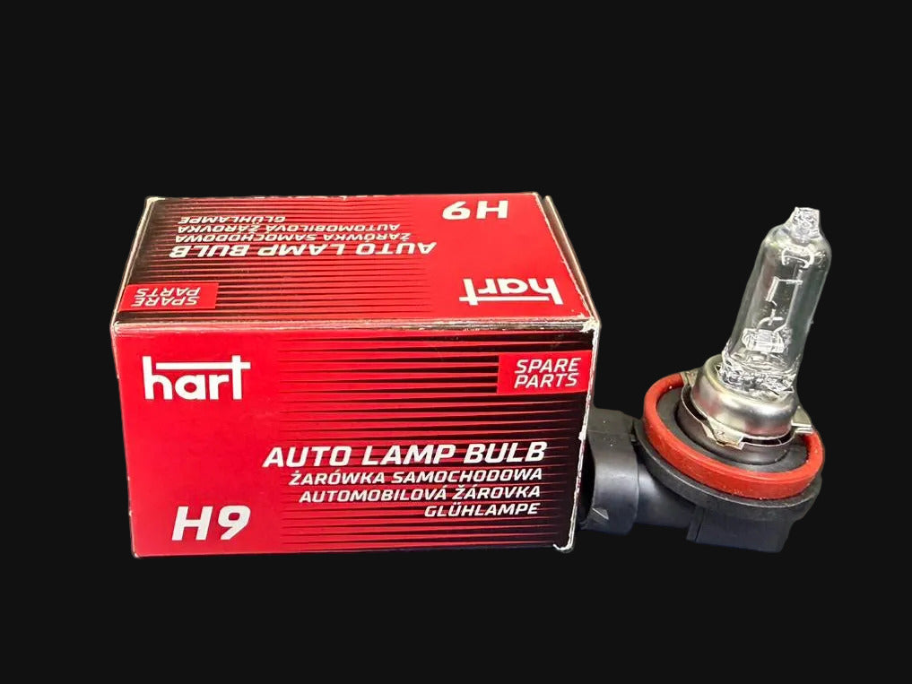 H9 Glühbirne